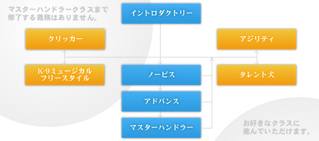 リレーションコースイントロダクトリークラスが修了したら、そのままノービスクラスに進むほか、アジリティークラスやK-9フリースタイルなどの特別クラスを受講することもできます。