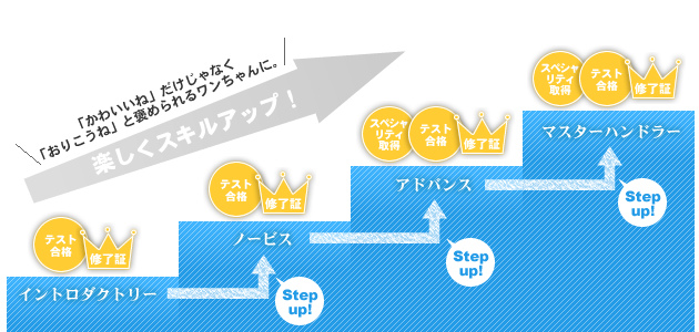 リレーションコースは無理なく楽しくステッブアップしていただけるよう4つのクラスで構成されています。